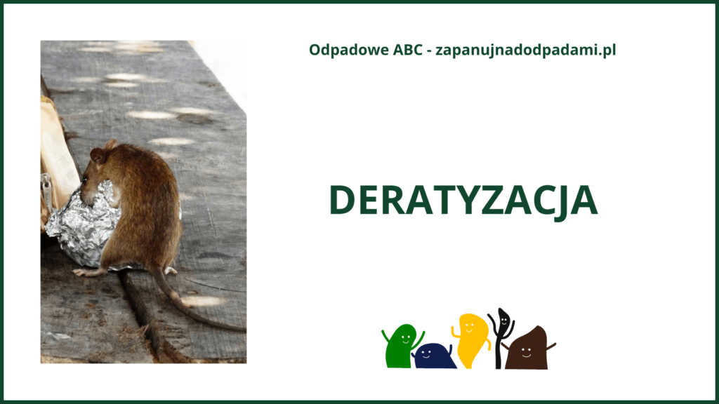 Deratyzacja - co to jest? Opadowe ABC - przewodnik.